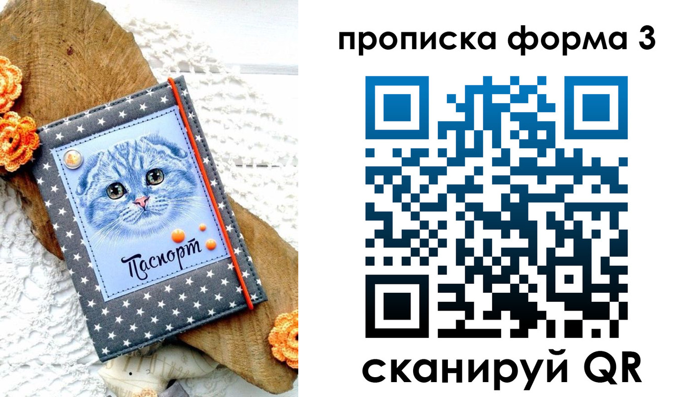 прописка поиск в Камешково